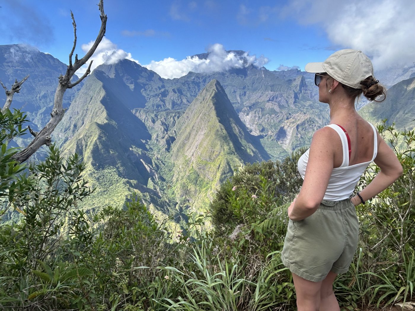 Face aux cirques et aux montagnes de l'intérieur de La Réunion